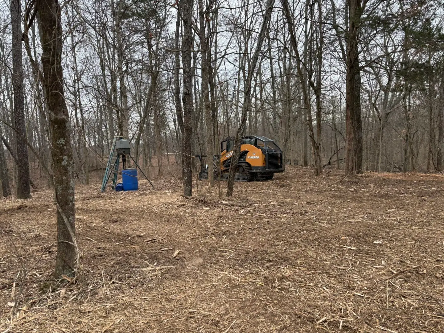 Cornelius Forestry & Land Management IMG 3529
